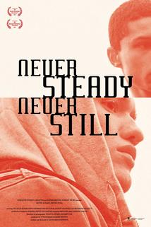 Profilový obrázek - Never Steady, Never Still