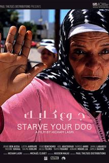 Profilový obrázek - Starve Your Dog