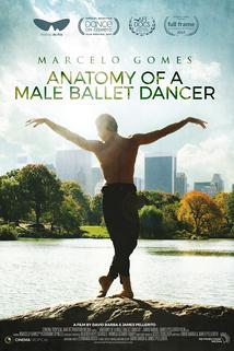 Profilový obrázek - Anatomy of a Male Ballet Dancer ()