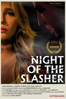 Profilový obrázek - Night of the Slasher