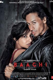 Baaghi: A Rebel For Love  - Baaghi: A Rebel For Love