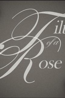 Profilový obrázek - Tilt of a Rose