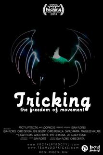 Profilový obrázek - Tricking: The Freedom of Movement