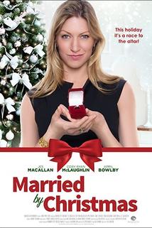 Profilový obrázek - Married by Christmas
