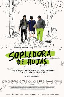 Profilový obrázek - Sopladora de Hojas