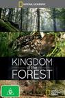 Království lesa (2008)
