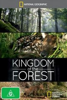 Profilový obrázek - Království lesa