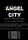 Angel City 