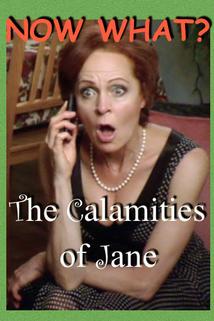 Profilový obrázek - The Calamities of Jane