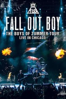 Profilový obrázek - Fall Out Boy: Live in Chicago