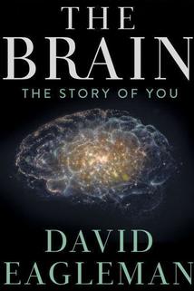 Profilový obrázek - The Brain with Dr. David Eagleman