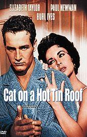 Kočka na rozpálené plechové střeše  - Cat on a Hot Tin Roof