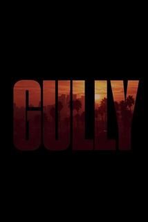 Profilový obrázek - Gully