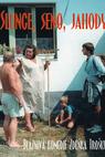 Slunce, seno, jahody 