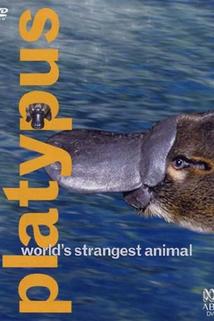 Profilový obrázek - Platypus: World's Strangest Animal