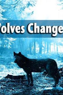 How Wolves Change Rivers