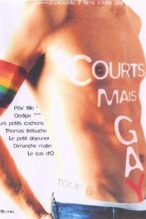 Profilový obrázek - Courts mais GAY: Tome 6