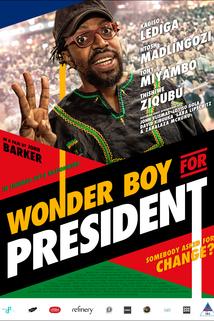 Profilový obrázek - Wonder Boy for President