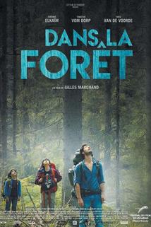 Profilový obrázek - Dans la forêt