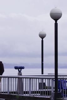 Profilový obrázek - Seattle: Breaking Through the Gray