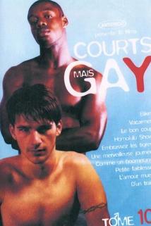 Profilový obrázek - Courts mais GAY: Tome 10