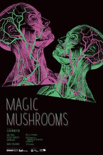 Profilový obrázek - Magic Mushrooms