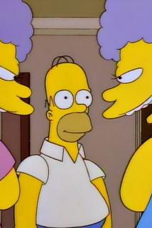 Profilový obrázek - Homer versus Patty a Selma