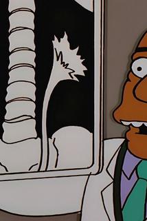 Profilový obrázek - Homer Simpson a ledvina