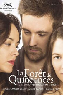 Profilový obrázek - La forêt de Quinconces