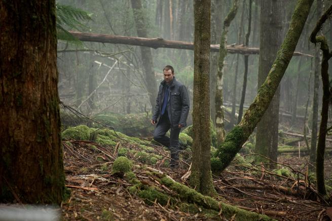 Zdroj: Showcase Australia