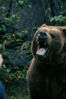 Profilový obrázek - Grizzly Bear Attack