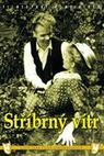Stříbrný vítr 
