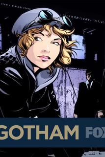 Profilový obrázek - Gotham Stories