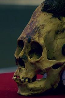 Profilový obrázek - Peruvian Alien Skull and Baltic Sea Ufo