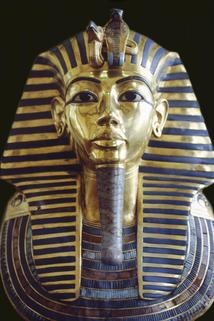 Profilový obrázek - Tutankhamun: The Truth Uncovered