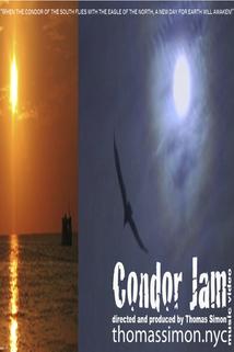 Profilový obrázek - Condor Jam