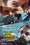 Profilový obrázek - Slow Wallet