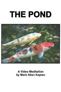 Profilový obrázek - The Pond