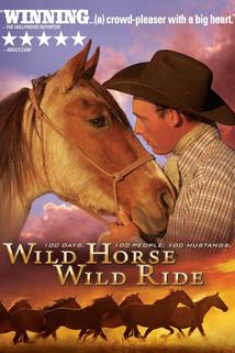 Profilový obrázek - Wild Horse, Wild Ride