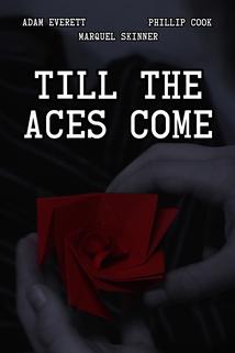 Profilový obrázek - Till the Aces Come