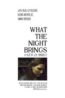 Profilový obrázek - What the Night Brings