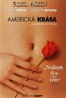 Americká krása (1999)