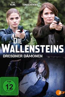 Profilový obrázek - Die Wallensteins - Dresdner Dämonen