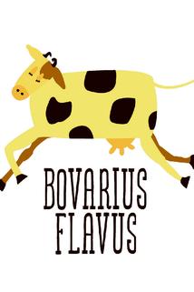 Profilový obrázek - Bovarius Flavus