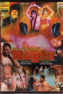 Profilový obrázek - Pyaasi Nagin