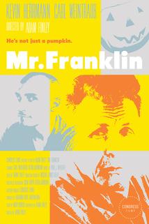Profilový obrázek - Mr. Franklin
