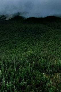 Profilový obrázek - Shell-Shocked