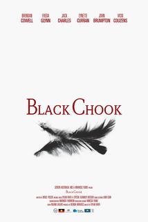 Profilový obrázek - Black Chook