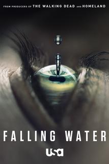 Falling Water  - Falling Water