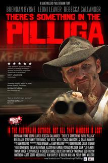 There's Something in the Pilliga